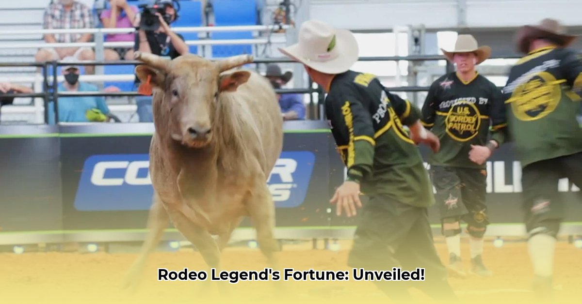 frank-newsom-net-worth